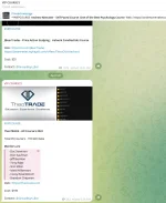 Untitled.webp